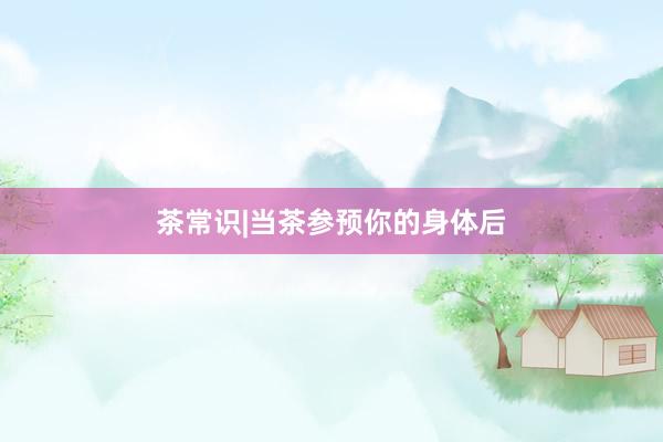 茶常识|当茶参预你的身体后
