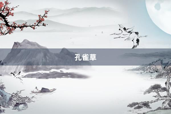孔雀草
