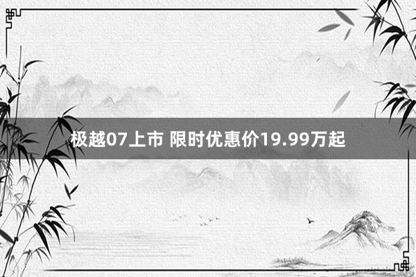极越07上市 限时优惠价19.99万起