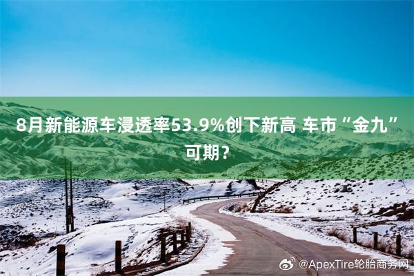 8月新能源车浸透率53.9%创下新高 车市“金九”可期？