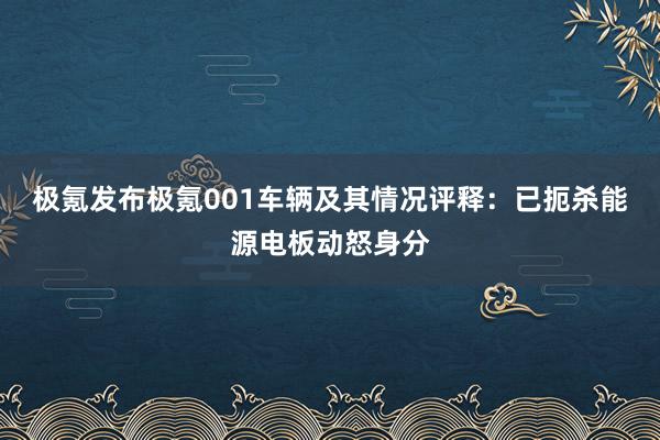 极氪发布极氪001车辆及其情况评释：已扼杀能源电板动怒身分