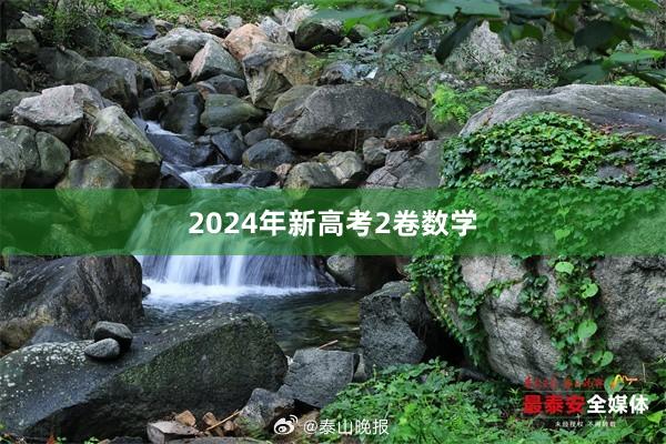 2024年新高考2卷数学