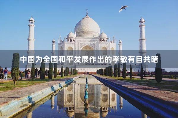 中国为全国和平发展作出的孝敬有目共睹