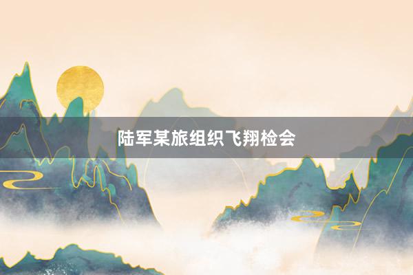 陆军某旅组织飞翔检会
