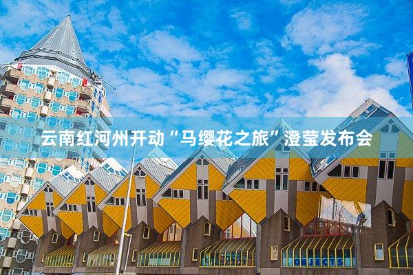 云南红河州开动“马缨花之旅”澄莹发布会