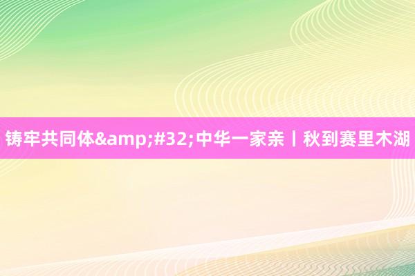 铸牢共同体&#32;中华一家亲丨秋到赛里木湖