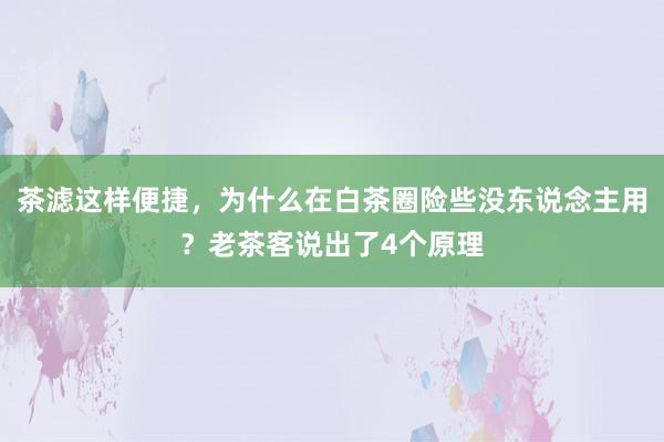 茶滤这样便捷，为什么在白茶圈险些没东说念主用？老茶客说出了4个原理
