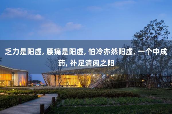 乏力是阳虚, 腰痛是阳虚, 怕冷亦然阳虚, 一个中成药, 补足清闲之阳