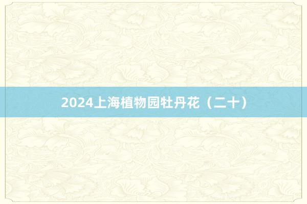 2024上海植物园牡丹花（二十）