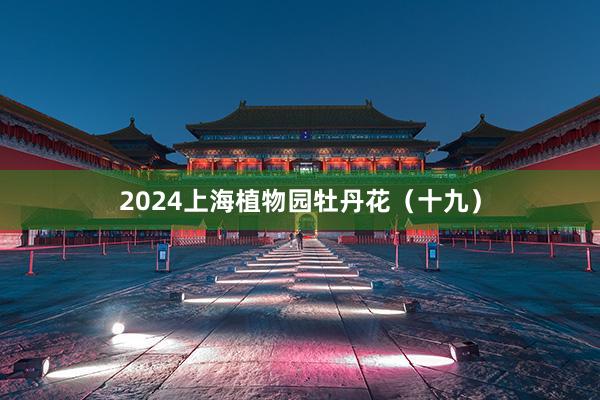2024上海植物园牡丹花（十九）