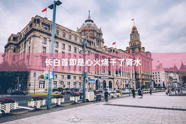 长白首即是心火烧干了肾水