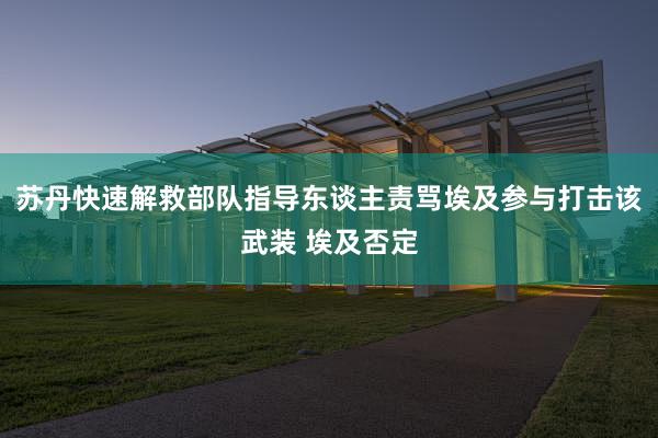 苏丹快速解救部队指导东谈主责骂埃及参与打击该武装 埃及否定