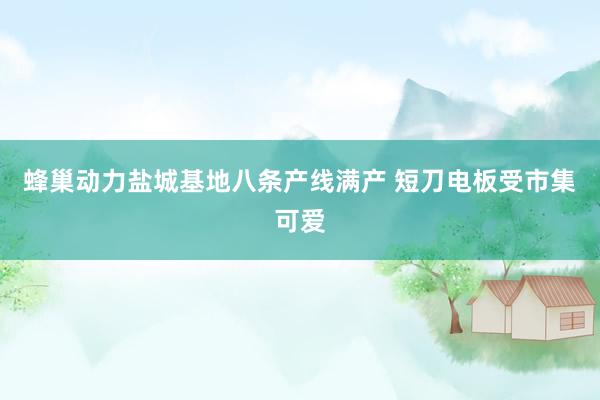 蜂巢动力盐城基地八条产线满产 短刀电板受市集可爱