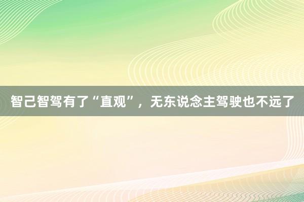 智己智驾有了“直观”，无东说念主驾驶也不远了