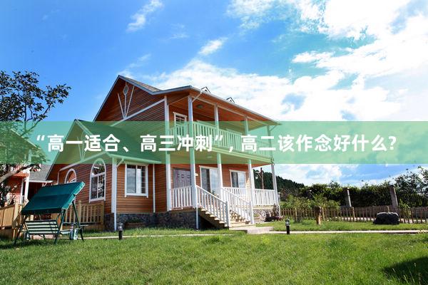 “高一适合、高三冲刺”, 高二该作念好什么?