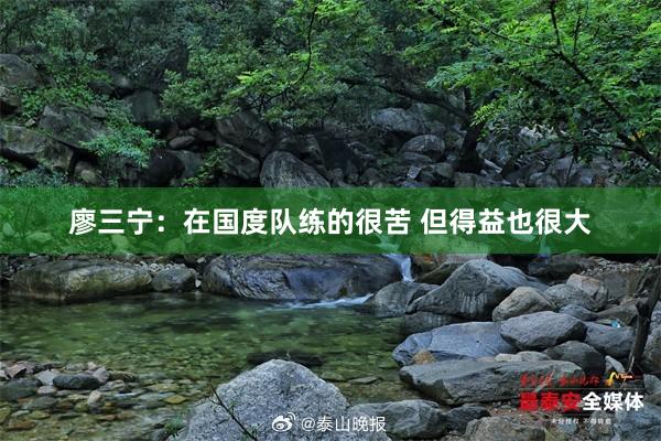 廖三宁：在国度队练的很苦 但得益也很大