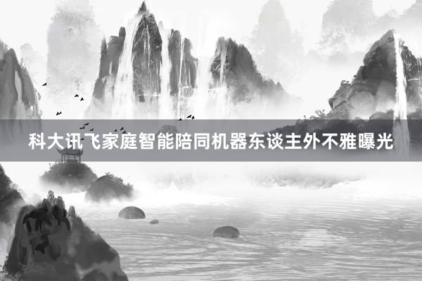 科大讯飞家庭智能陪同机器东谈主外不雅曝光