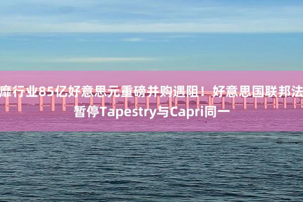 奢靡行业85亿好意思元重磅并购遇阻！好意思国联邦法院暂停Tapestry与Capri同一