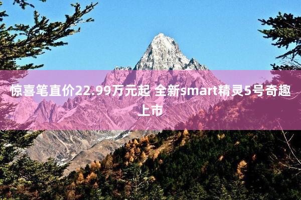 惊喜笔直价22.99万元起 全新smart精灵5号奇趣上市