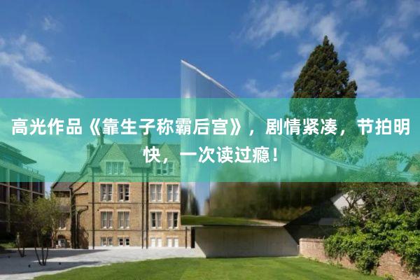 高光作品《靠生子称霸后宫》，剧情紧凑，节拍明快，一次读过瘾！