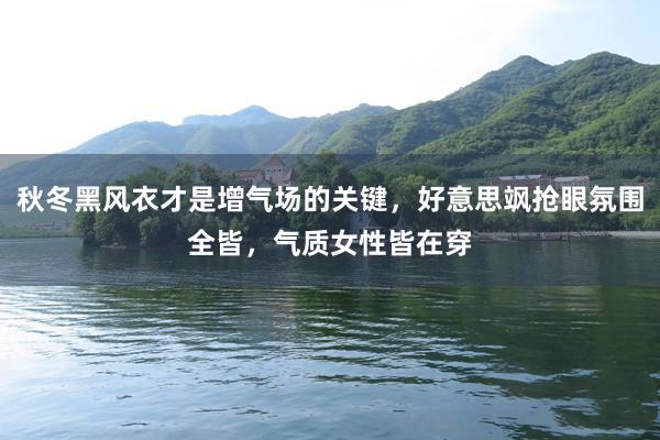 秋冬黑风衣才是增气场的关键，好意思飒抢眼氛围全皆，气质女性皆在穿