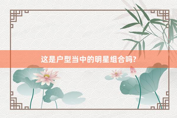 这是户型当中的明星组合吗?