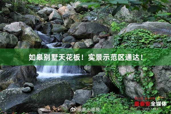 如皋别墅天花板！实景示范区通达！