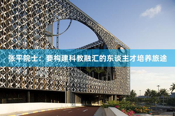 张平院士：要构建科教融汇的东谈主才培养旅途