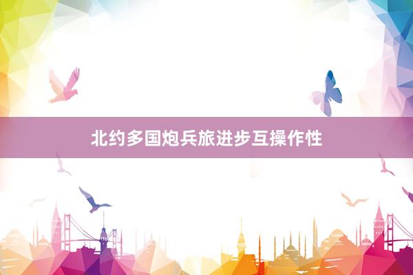 北约多国炮兵旅进步互操作性