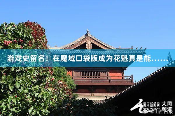 游戏史留名！在魔域口袋版成为花魁真是能……