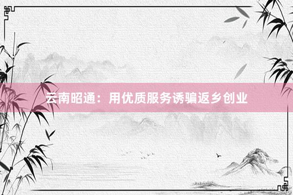 云南昭通：用优质服务诱骗返乡创业