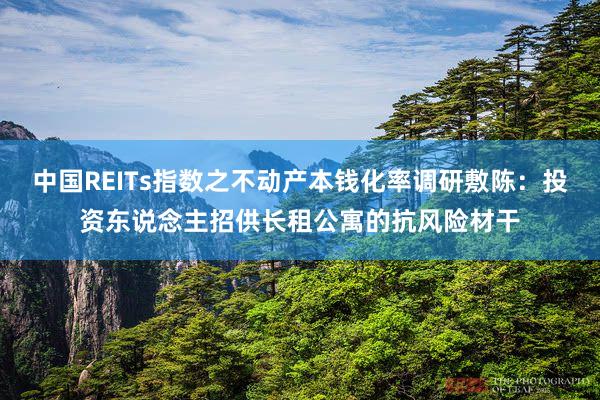 中国REITs指数之不动产本钱化率调研敷陈：投资东说念主招供长租公寓的抗风险材干